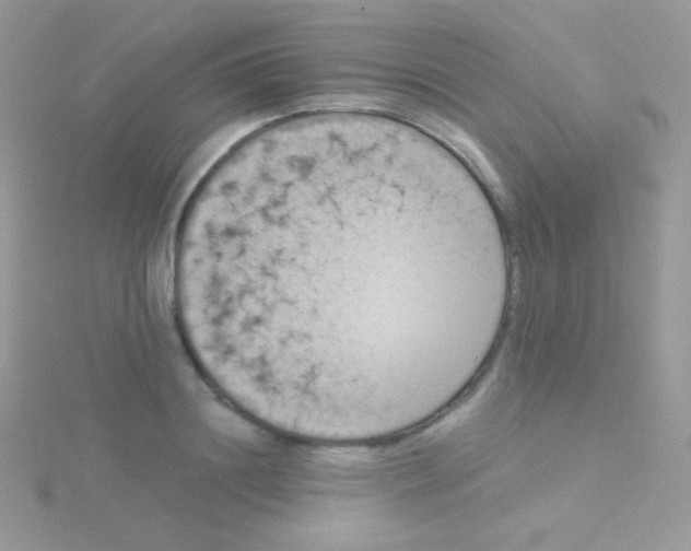 X0000115050844200911231152