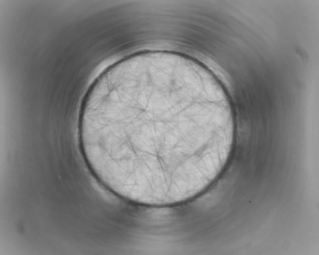 X0000115050845200911231152