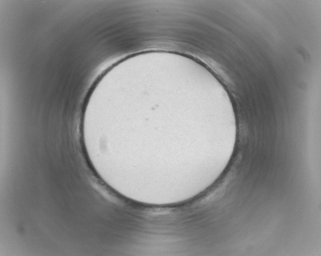 X0000115050846200911231152