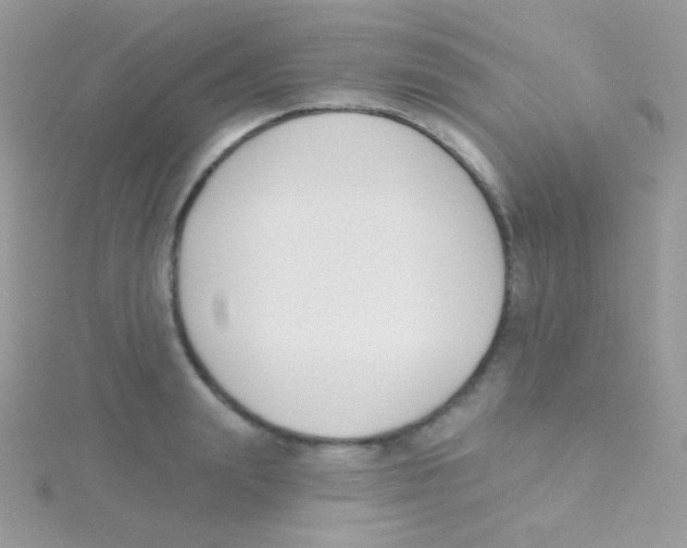 X0000115050847200911231152