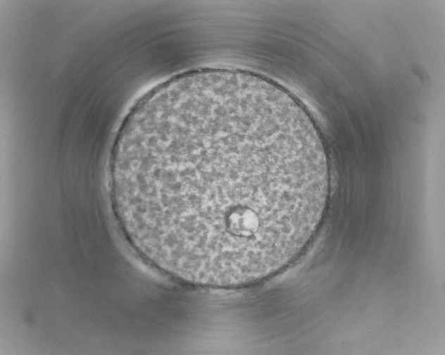 X0000115050848200911231152