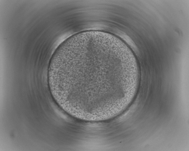 X0000115050850200911231152