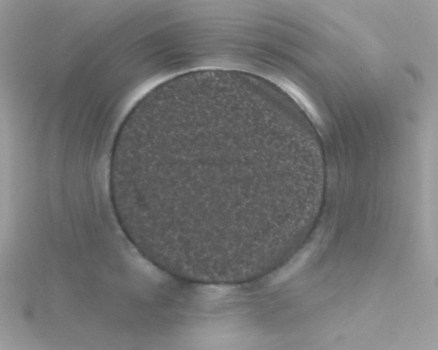 X0000115050854200911231152