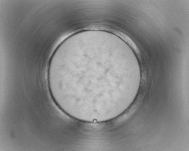 X0000115050855200911231152