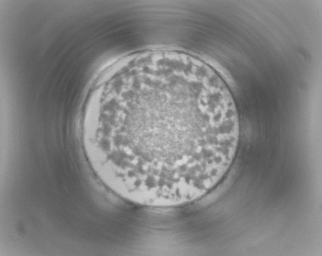 X0000115050856200911231152