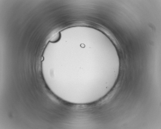 X0000115050858200911231152