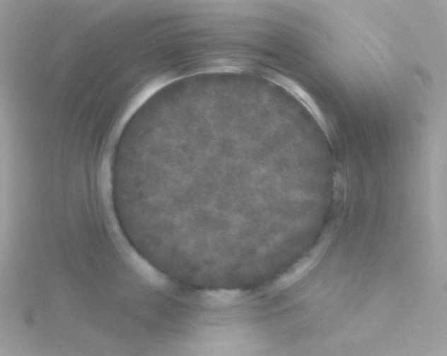 X0000115050859200911231152