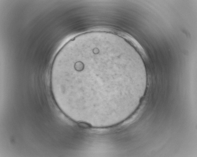 X0000115050860200911231152