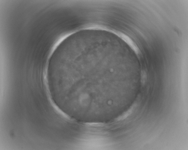 X0000115050863200911231152