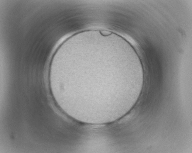 X0000115050864200911231152