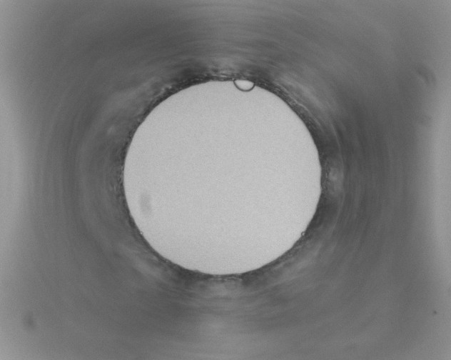 X0000115050865200911231152