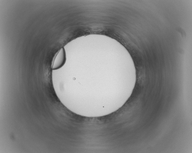 X0000115050866200911231152