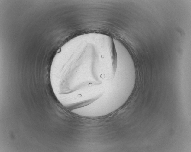 X0000115050868200911231152