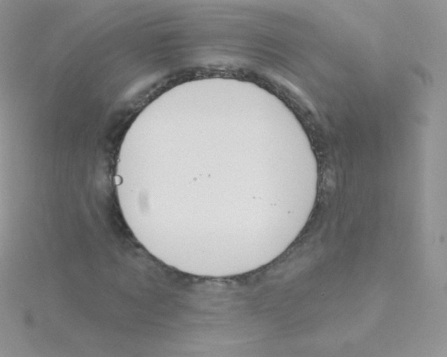 X0000115050869200911231152