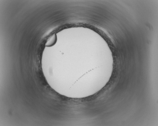 X0000115050871200911231152