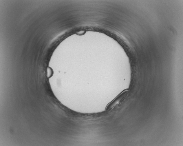 X0000115050872200911231152