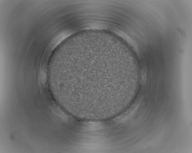 X0000115050874200911231152