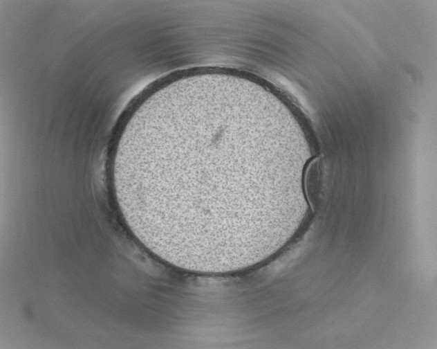 X0000115050875200911231152