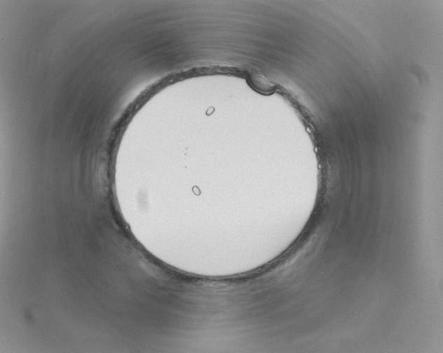 X0000115050878200911231152