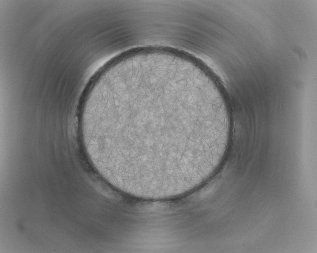 X0000115050879200911231152