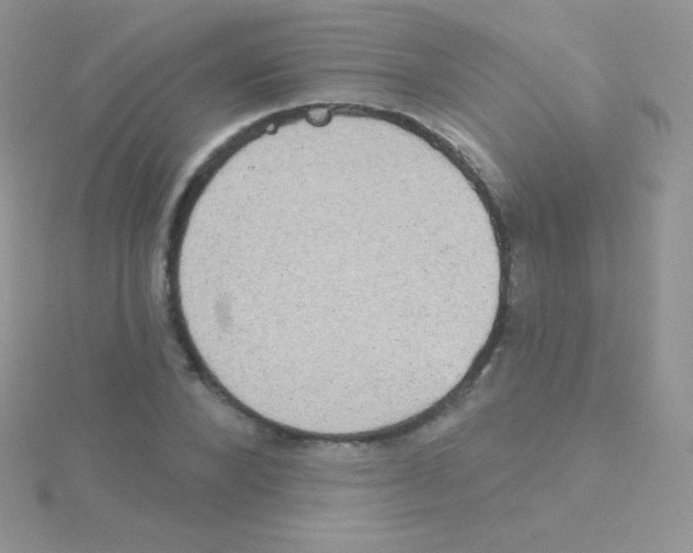 X0000115050880200911231152