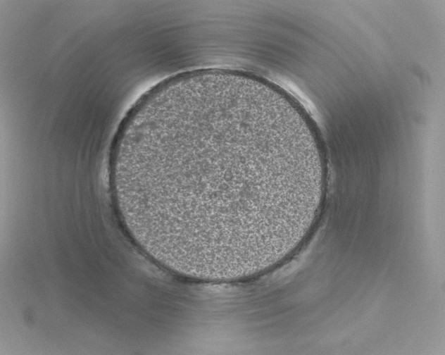 X0000115050883200911231152