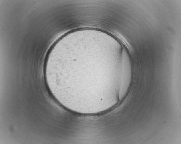 X0000115050884200911231151