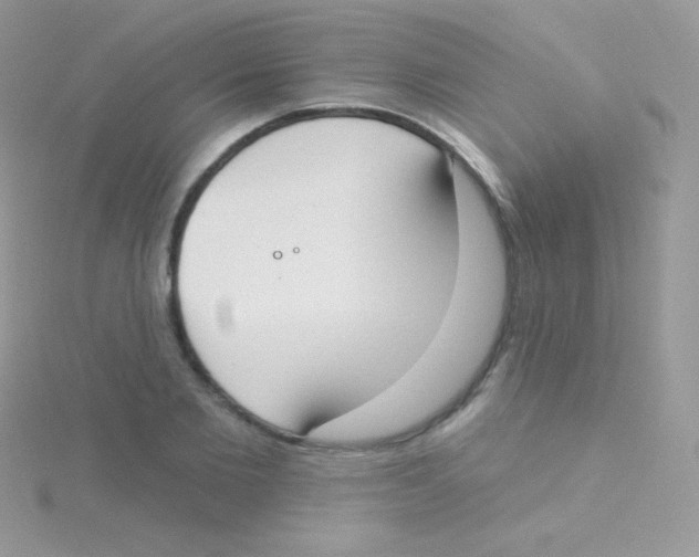 X0000115050885200911231151