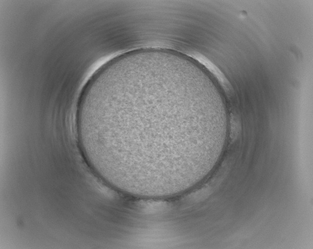 X0000115050886200911231151