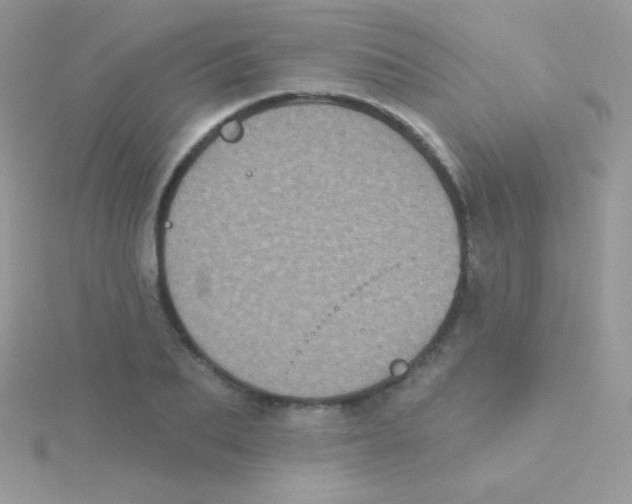 X0000115050887200911231151