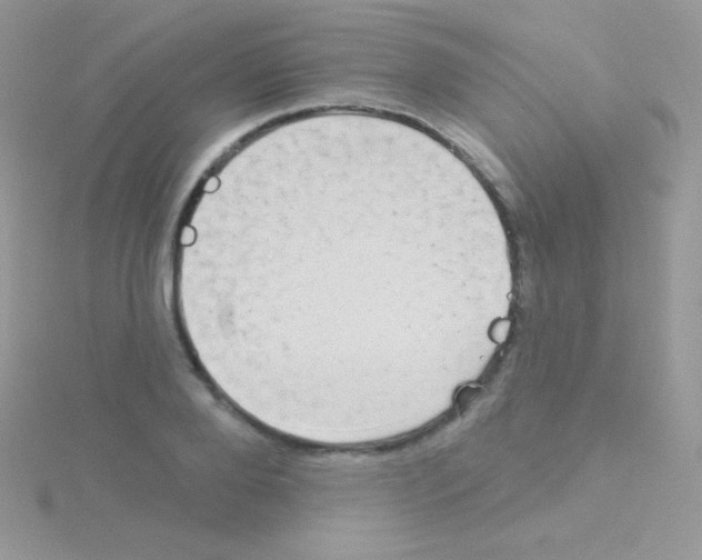 X0000115050888200911231151