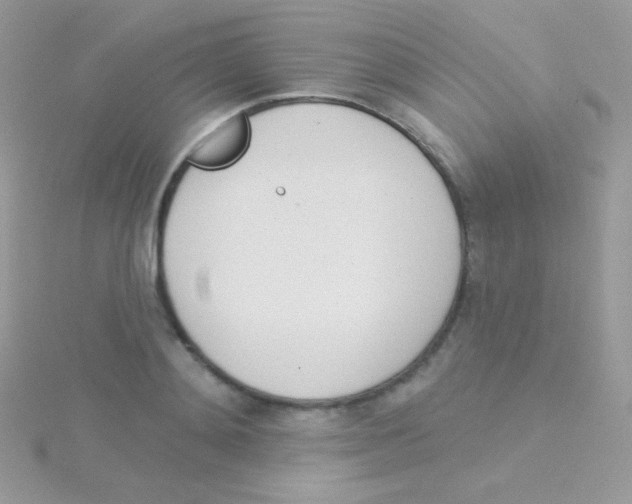 X0000115050892200911231151