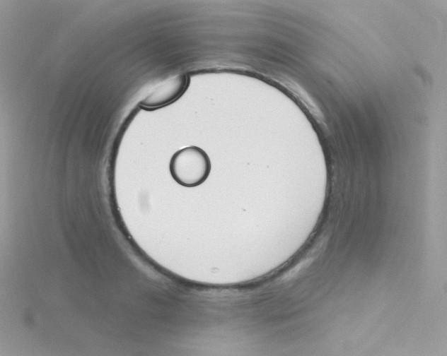 X0000115050893200911231151