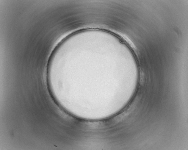 X0000115050895200911231151