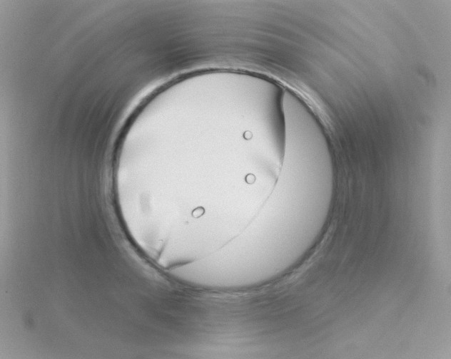 X0000115050896200911231151