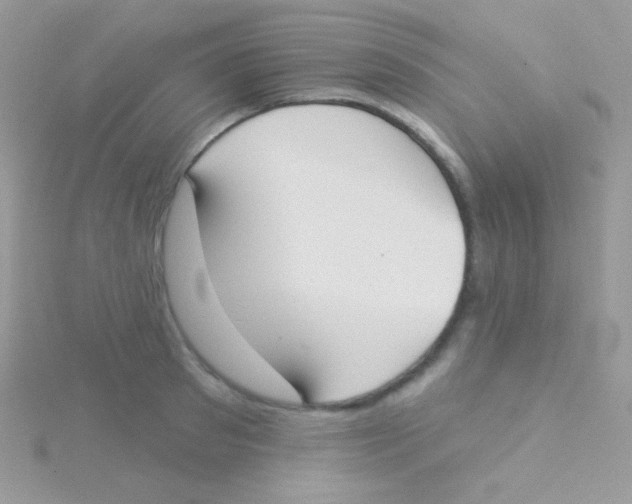 X0000115050897200911231151