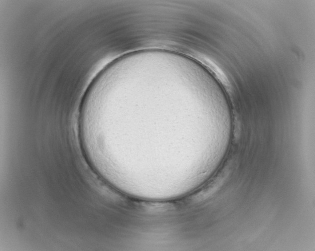 X0000115050899200911231151