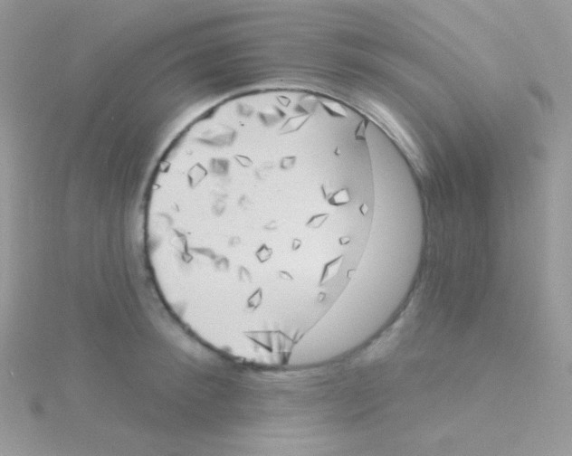 X0000115050900200911231151