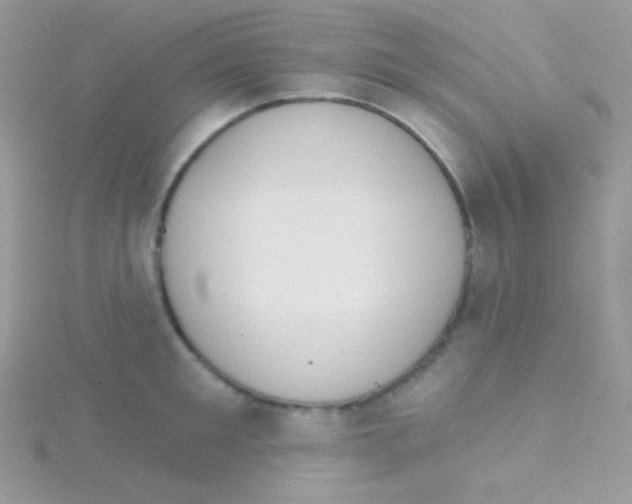 X0000115050901200911231151