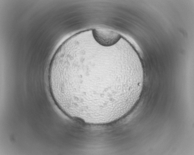 X0000115050903200911231151