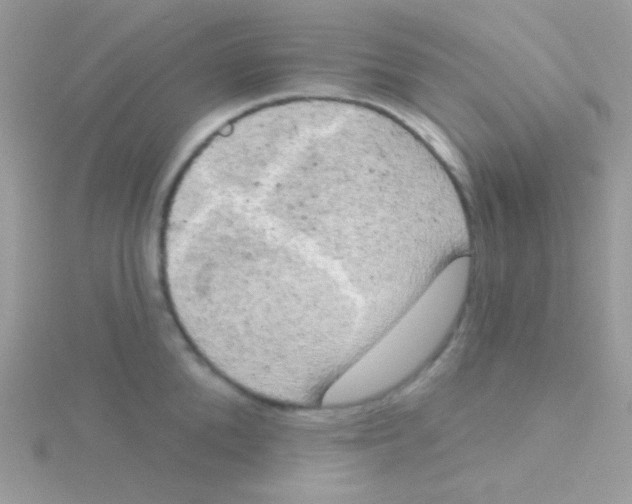 X0000115050904200911231151