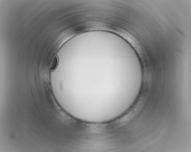 X0000115050905200911231151