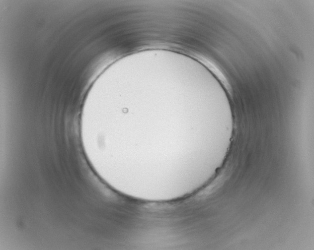 X0000115050906200911231151