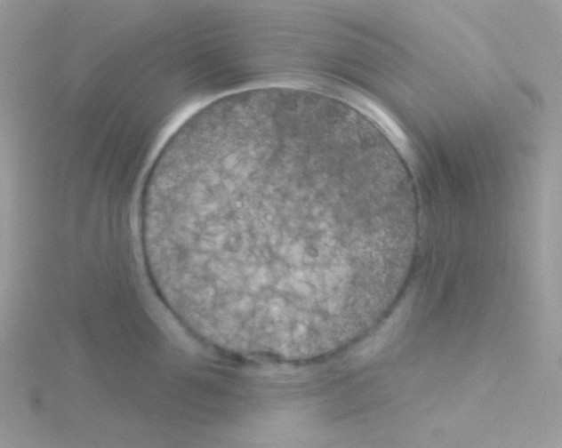 X0000115050907200911231151