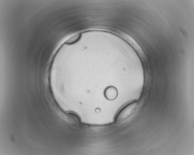 X0000115050908200911231151