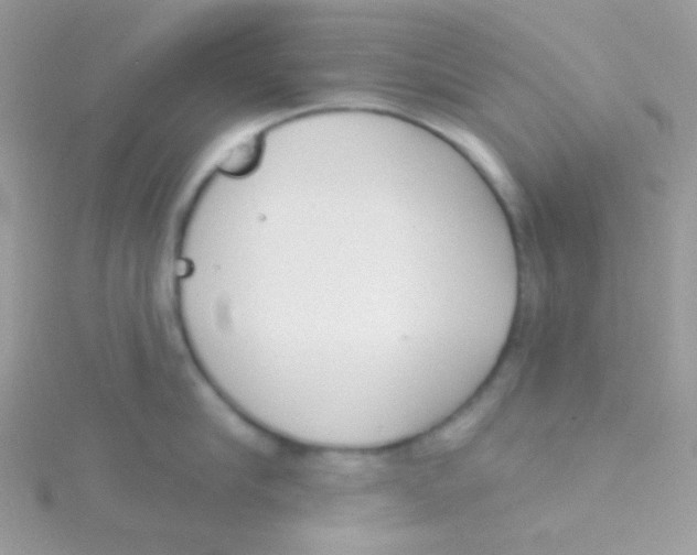 X0000115050910200911231151