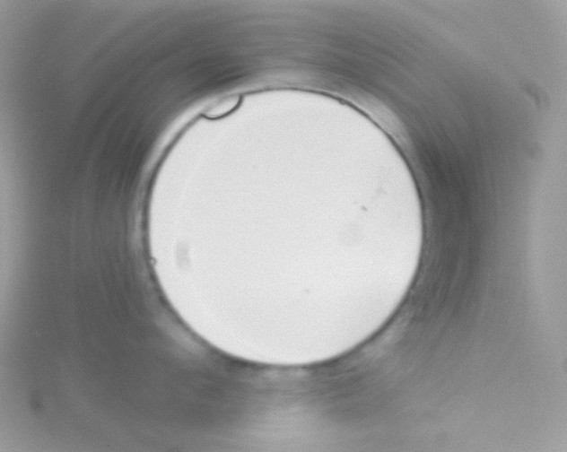 X0000115050912200911231151