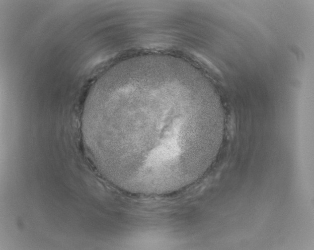 X0000115050917200911231150