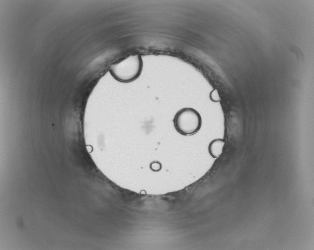 X0000115050918200911231150