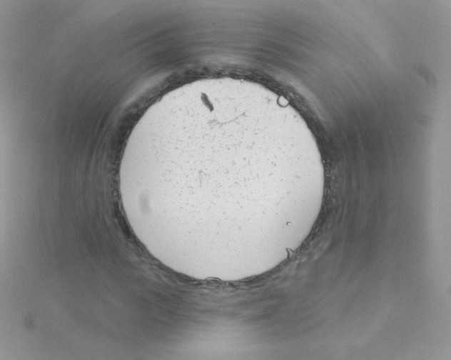 X0000115050919200911231150